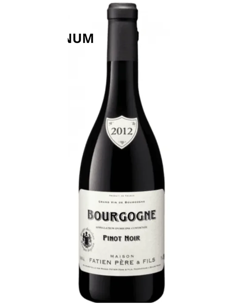Bourgogne Fatien Magnum 2018
